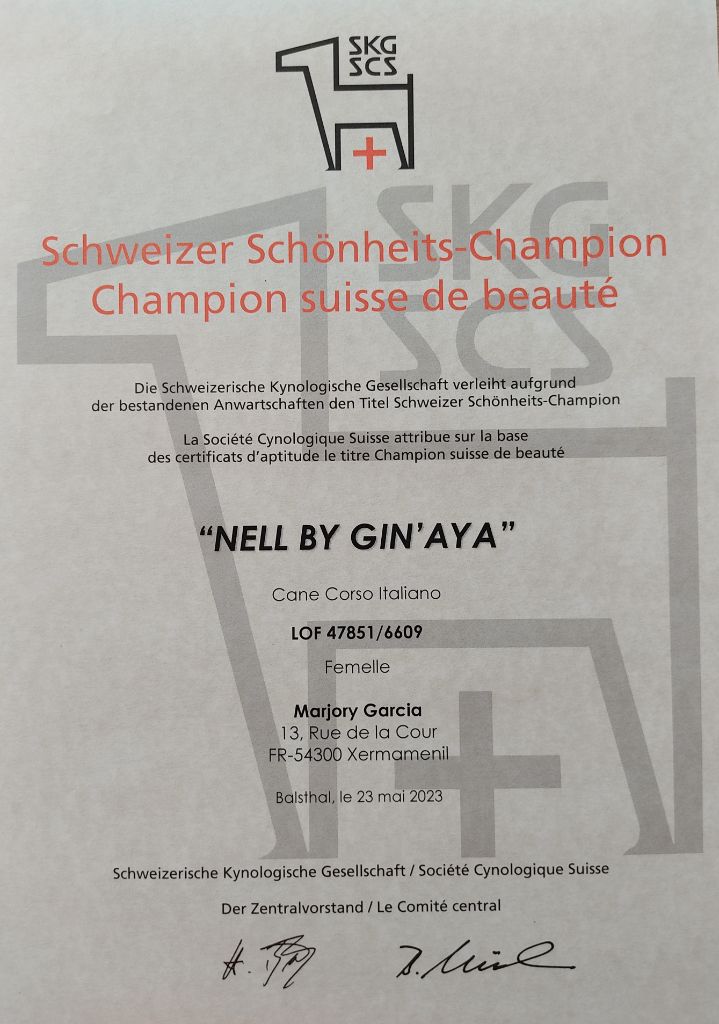 By Gin'Aya - Nouveau titre de Champion !!! 