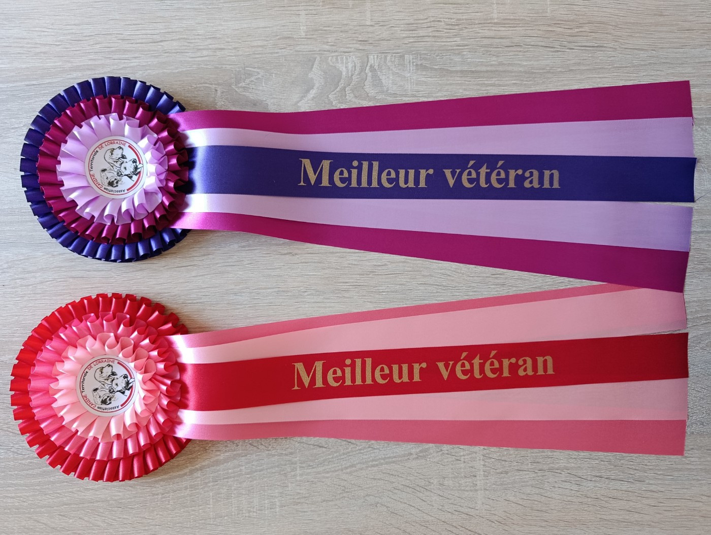 Double Exposition de Metz