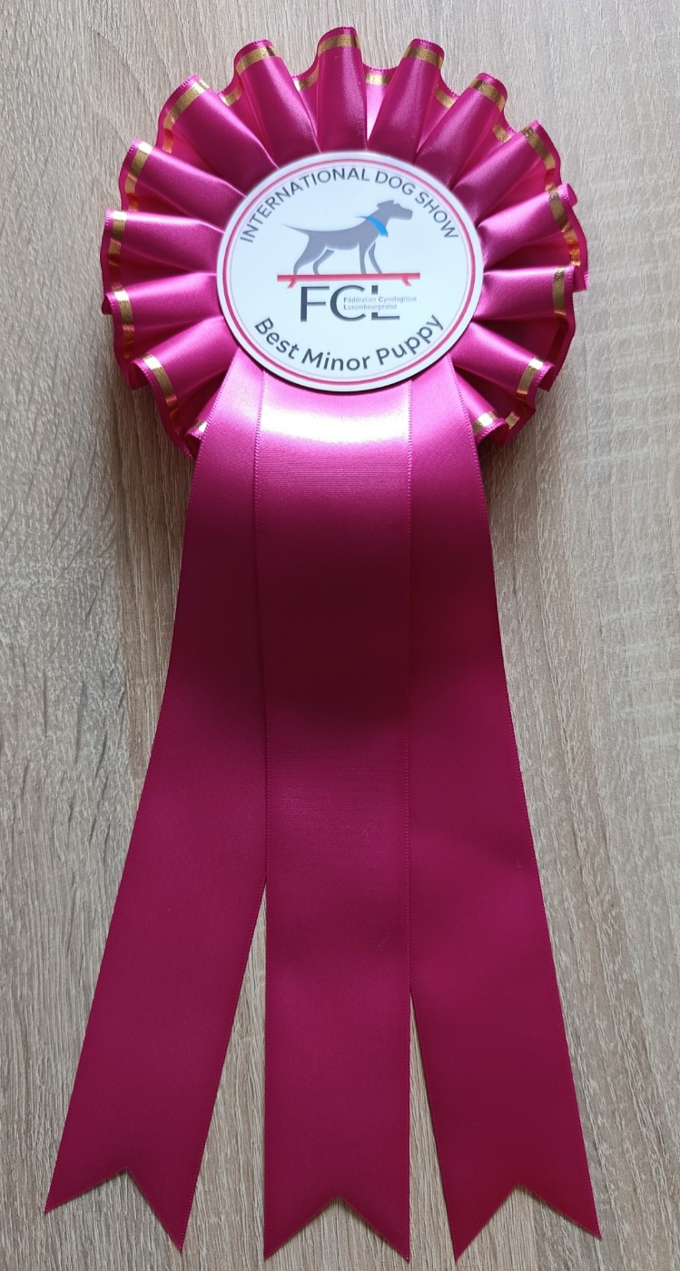 116th International Dog Show Luxembourg