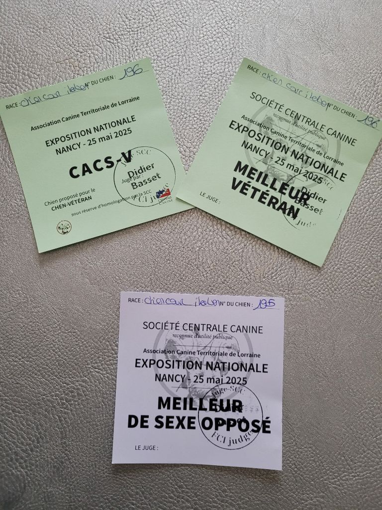 Exposition Nationale de Nancy 